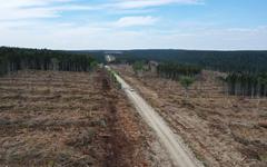 Québec mis en garde contre les coupes forestières à Anticosti
