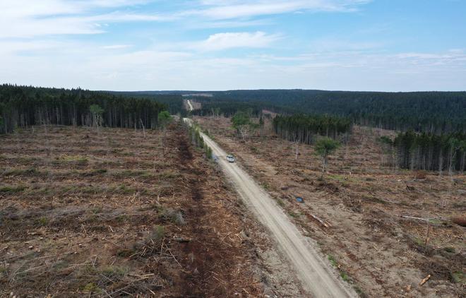 Québec mis en garde contre les coupes forestières à Anticosti