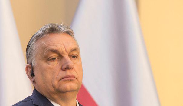 Loi anti-LGBT en Hongrie : "Viktor Orbán joue sa survie politique"