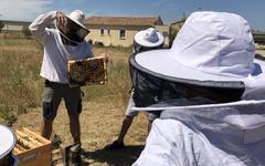 GARD « De ferme en ferme » : une sortie en famille à faire ce week-end !