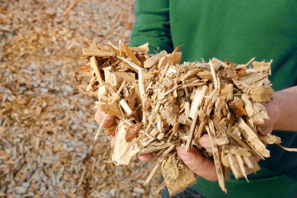 L'avenir de la biomasse au coeur des débats