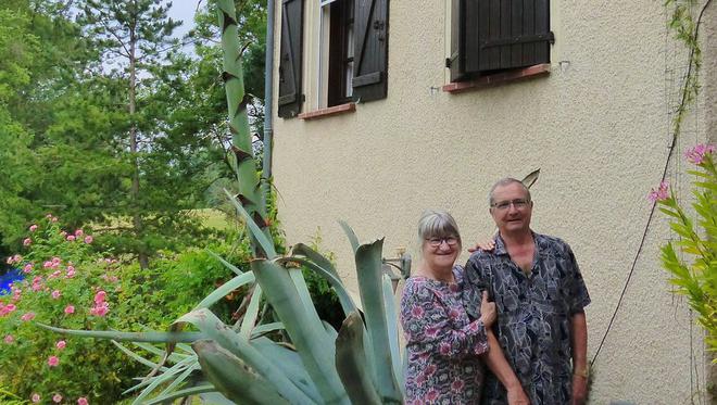 Castelnau-de-Lévis : un agave de huit mètres de haut chez Pierre et Marie-Lou