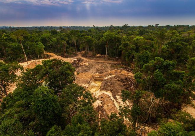Lutte contre la déforestation : tous responsables !
