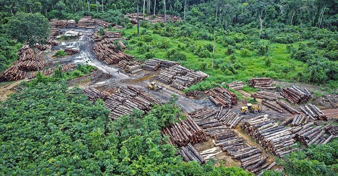 Le ministre de l’environnement du Brésil démissionne après avoir été accusé d’exportation illégale de bois d’Amazonie