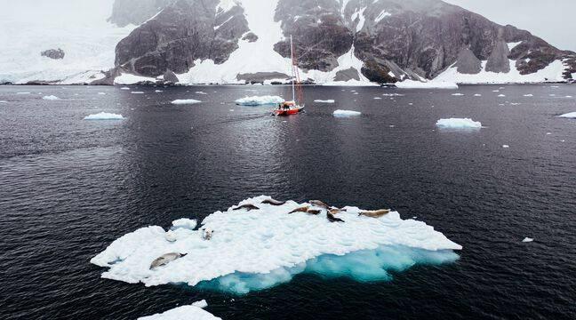 L'Antarctique a enregistré un record de chaleur avec 18,3°C le 6 février 2020