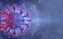 Seuls 2 % des positifs au SARS-CoV-2 portent 90 % du virus en circulation