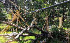 À Lyon, les écologistes veulent plus d’espèces européennes au zoo du parc de la Tête d’Or