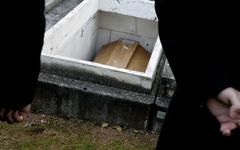 Lyon : le cimetière de la Guillotière labellisé Refuge de biodiversité