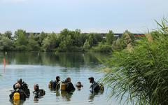 À Holtzheim, une ancienne gravière transformée en réserve de biodiversité par le club de plongée