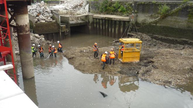 À Pont-Audemer, une opération de sauvetage de poissons a été menée