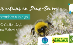 Rendez-vous de la Biodiversité : Les Pollinis’actions en Deux-Sèvres