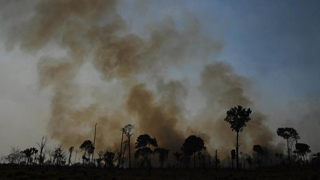 La forêt amazonienne émet désormais plus de CO2 qu'elle en absorbe, selon une étude