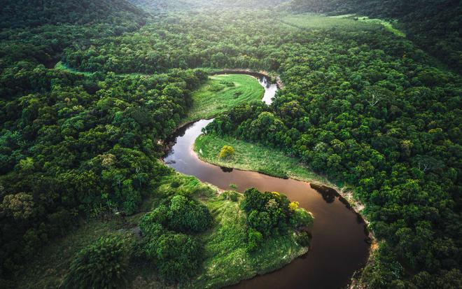 La forêt amazonienne n'est plus un puits de carbone