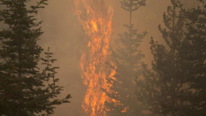 Incendies dans l’Ouest américain : les évacuations se poursuivent, les feux de forêts s’intensifient