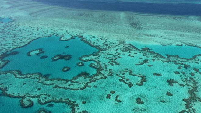 EN DIRECT - La Grande Barrière de corail évite la liste des sites en péril