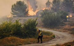 Carcassonne. Aude : Plus de 500 ha brûlés dans l’Alaric