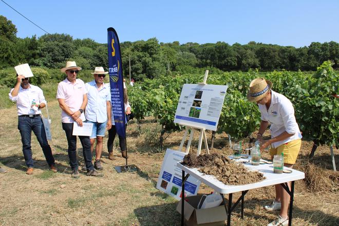 TRESQUES Le groupe Perret se tourne vers une viticulture plus respectueuse de l’environnement