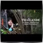Thaïlande La jeune femme qui sauve les calaos