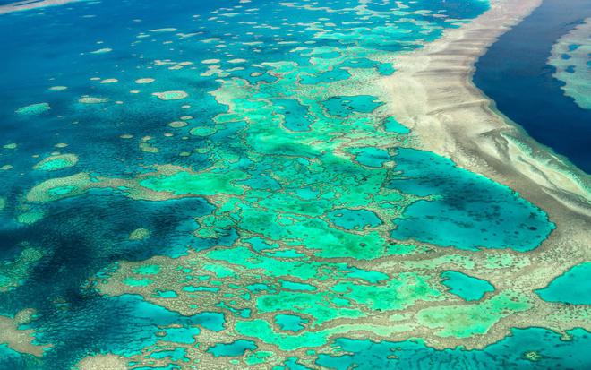 Quand les nouvelles technologies contribuent à sauver la Grande Barrière de corail