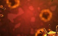 EN DIRECT - Coronavirus - 359 morts et plus de 32.000 nouveaux cas en 24 heures en France selon les chiffres officiels publiées ce soir par Santé publique France