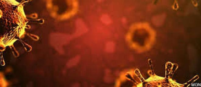 EN DIRECT - Coronavirus - 359 morts et plus de 32.000 nouveaux cas en 24 heures en France selon les chiffres officiels publiées ce soir par Santé publique France