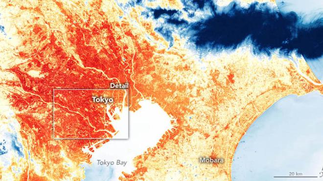 JO de Tokyo : les athlètes doivent affronter une très forte vague de chaleur humide