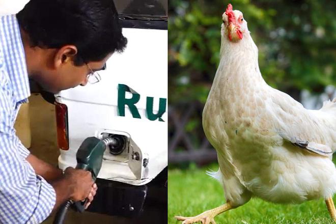 En Inde, un vétérinaire a créé un biodiesel à partir de restes de volaille