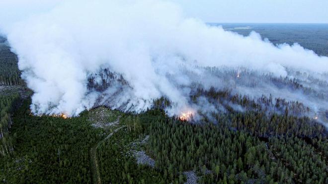De Finlande en Grèce, les forêts d'Europe en proie aux incendies