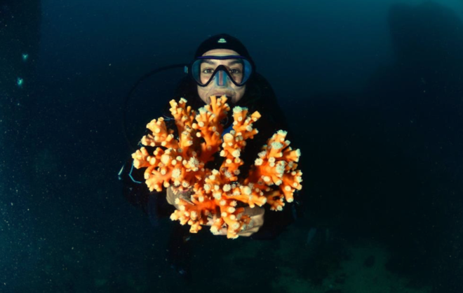 Une nurserie pour sauver les récifs coralliens en Méditerranée