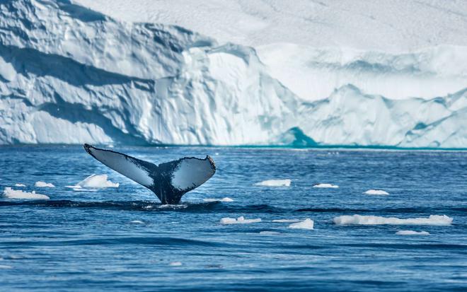 Le Groenland fond à vue d'œil : plusieurs milliards de tonnes de glace disparaissent chaque jour