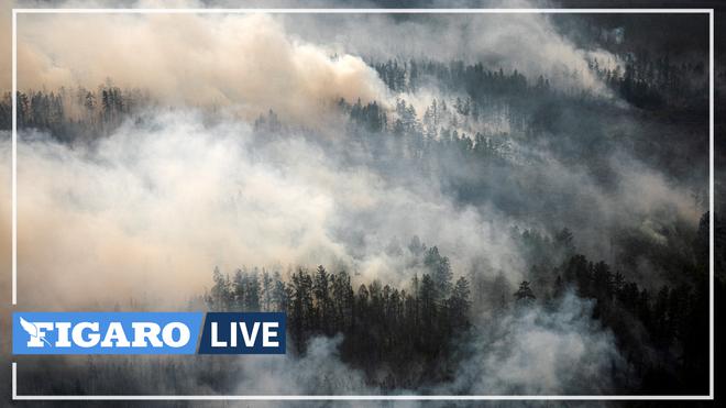 «Les incendies actuels battent tous les records»: la Sibérie frappée de plein fouet par le réchauffement climatique