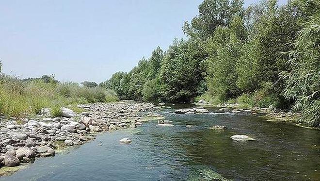 Pyrénées-Orientales : alerte à la prolifération de cyanobactéries dans les eaux du Tech, baignade interdite