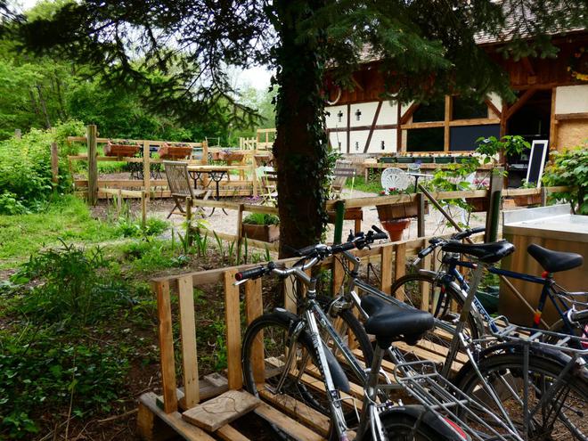 Découvrir l’Alsace sans voiture : 3 idées de balades à vélo depuis Strasbourg