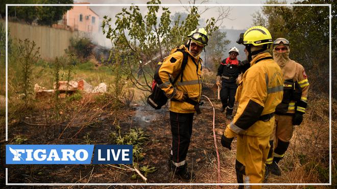 «C'est le travail d'une vie, ça ne s'abandonne pas»: ces Grecs tentent d'éteindre l'incendie qui atteint les premières maisons