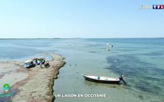 Mon coin de paradis : à la découverte d'un lagon en Occitanie
