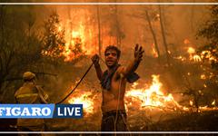 Incendies: le Premier ministre grec déplore une «catastrophe naturelle d'une ampleur sans précédent»