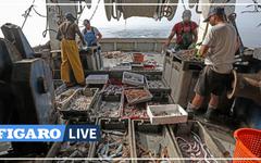 En Méditerranée, les chalutiers inquiets face à la baisse du nombre de jours de pêche