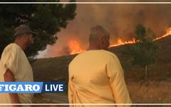 Après l'Algérie, le nord du Maroc est frappé par de violents feux de forêt