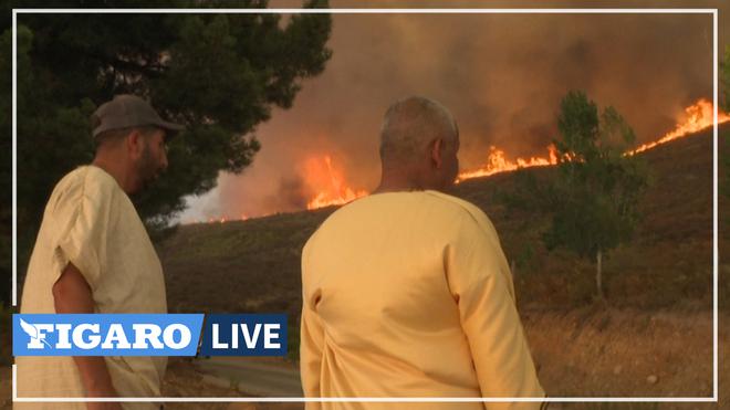 Après l'Algérie, le nord du Maroc est frappé par de violents feux de forêt