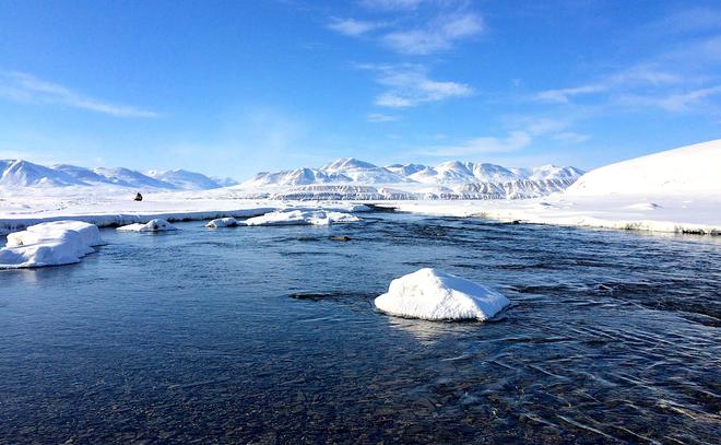 Le changement climatique augmente le risque de propagation de virus anciens aux animaux de l’Arctique