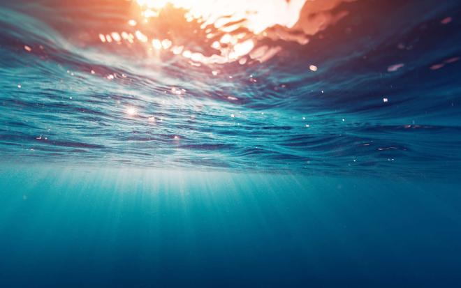 Le réchauffement climatique pourrait transformer jusqu'à 95 % de la surface des océans d'ici 2100