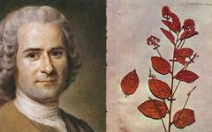 CHRONIQUE. Jean-Jacques Rousseau : le philosophe de la nature à l’origine de l’écologie culturelle