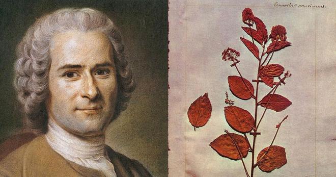 CHRONIQUE. Jean-Jacques Rousseau : le philosophe de la nature à l’origine de l’écologie culturelle