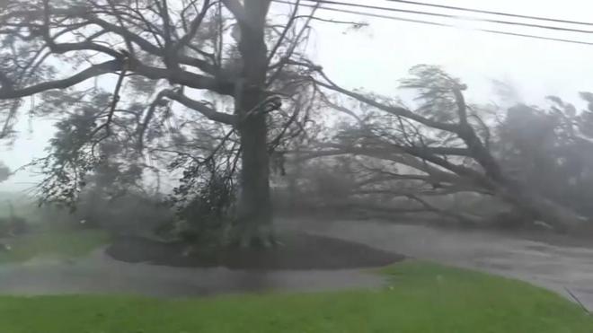 VIDÉO - "Je prie pour que nous puissions retrouver nos maisons" : l'ouragan Ida a balayé la Louisiane