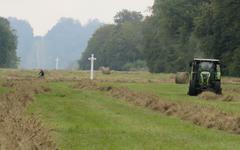 À Compiègne, un fauchage tardif impérial et écologique sur l’allée des Beaux-Monts