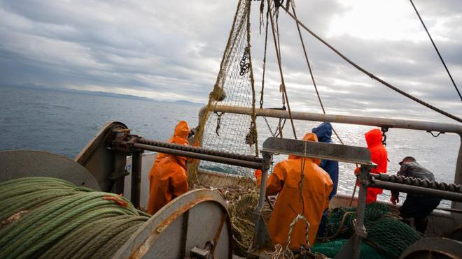 Parc éolien en baie de Saint-Brieuc : les pêcheurs saisissent le PNF