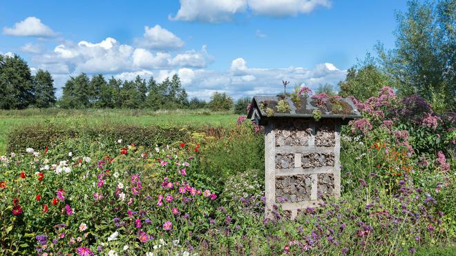 Fleurs sauvages, hôtels à insectes, nichoirs... sauver la biodiversité, ça commence dans son jardin