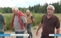 Forêt de Lanouée (Morbihan) : le chantier du parc éolien va reprendre