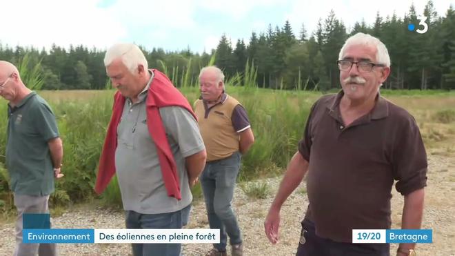 Forêt de Lanouée (Morbihan) : le chantier du parc éolien va reprendre