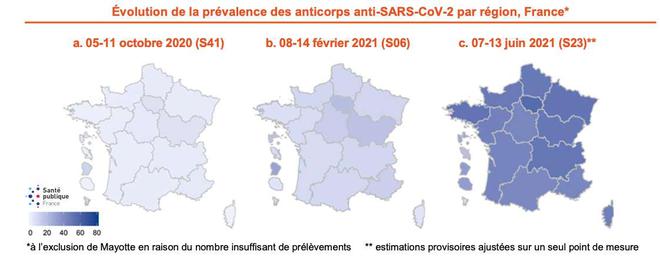 Covid-19 : mi-juin, plus d’un Français sur 2 avait des anticorps